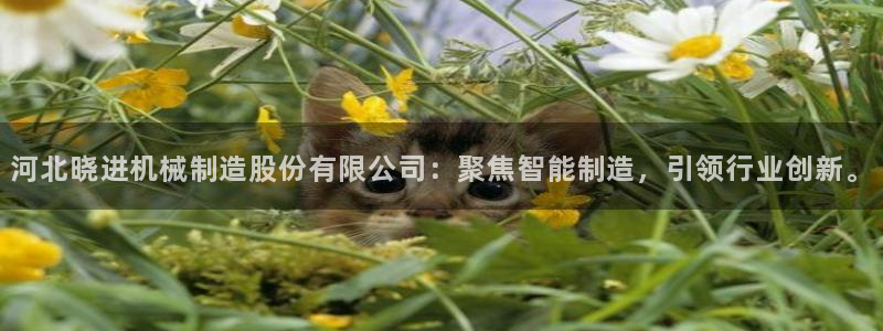 摩根大通投资娱乐公司