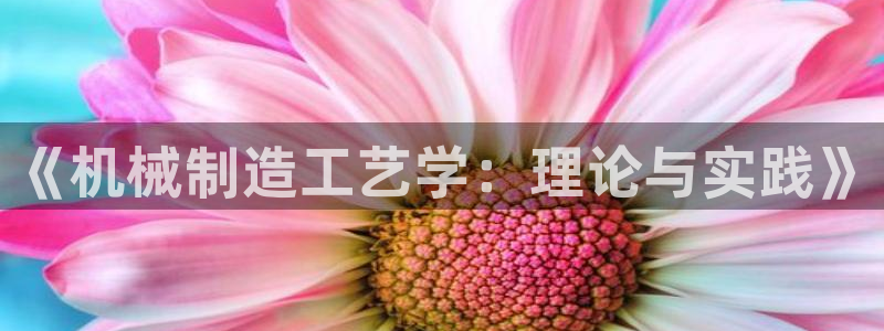 摩根娱乐宝招商