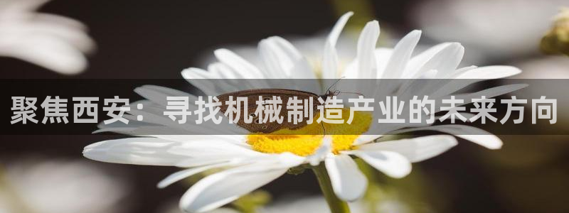 泉州摩根娱乐会所电话多少