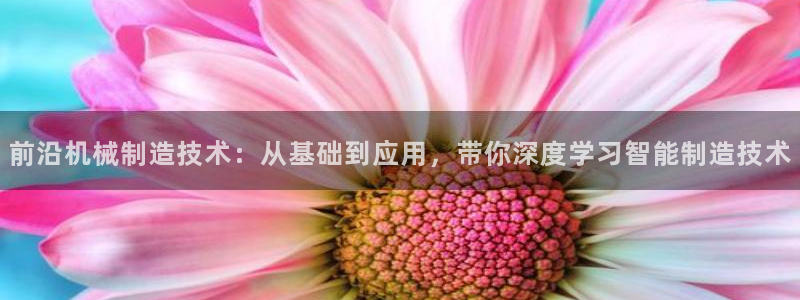 泉州摩根会娱乐张桂花
