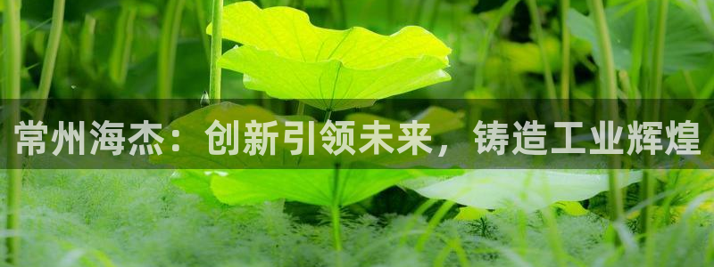 摩根娱乐宝微信客服