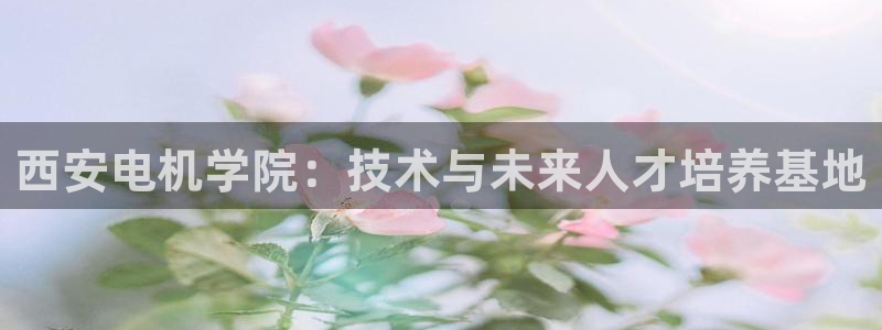 摩根娱乐宝如何提现