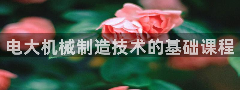 摩根大通王者娱乐