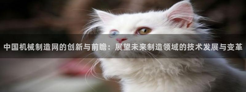 海贼王之娱乐摩根斯