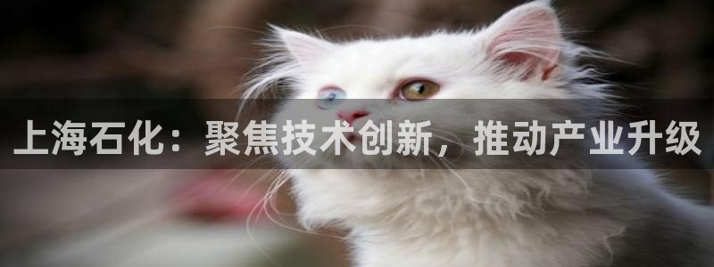 摩根娱乐50186联系