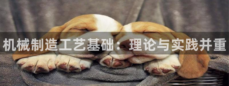 亚瑟摩根娱乐的地方