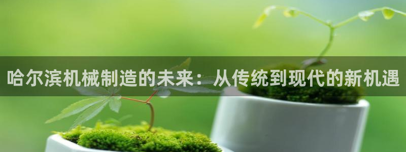 摩根 娱乐宝骗了我