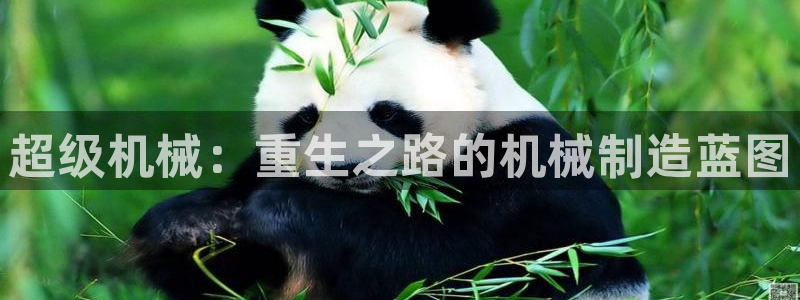 白宫摩根会娱乐有限公司