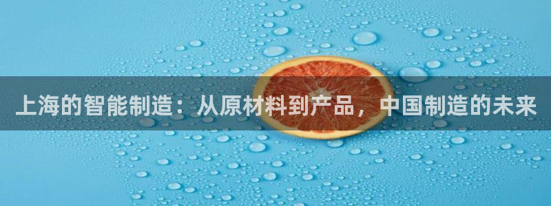 摩根娱乐宝总部招商