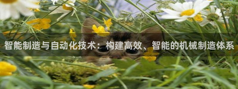 摩根娱乐宝诈骗