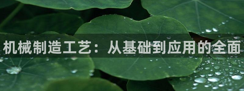 摩根国际 亚太 娱乐宝