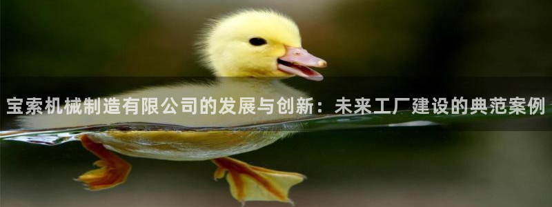 摩根娱乐彩票被骗了