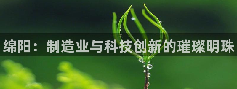 摩根娱乐宝被骗怎么办