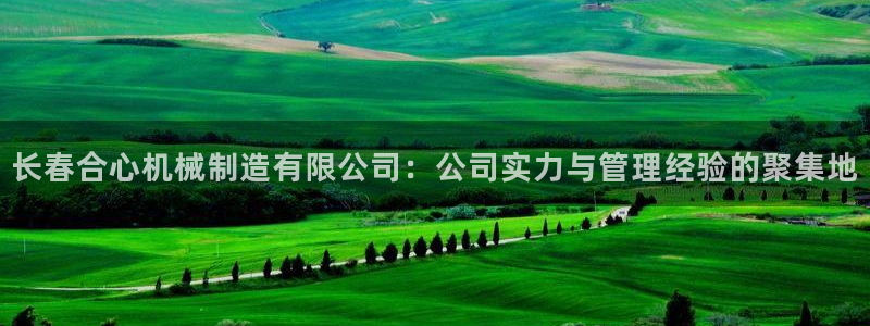 摩根娱乐挂机项目有哪些