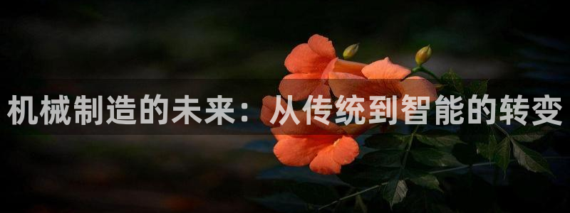 长春拉图摩根娱乐