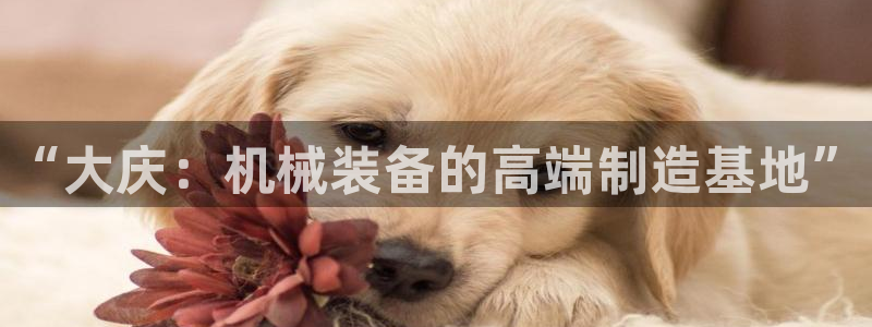 摩根娱乐宝是真的吗