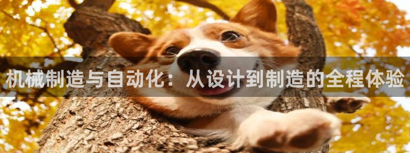 香港摩根娱乐宝