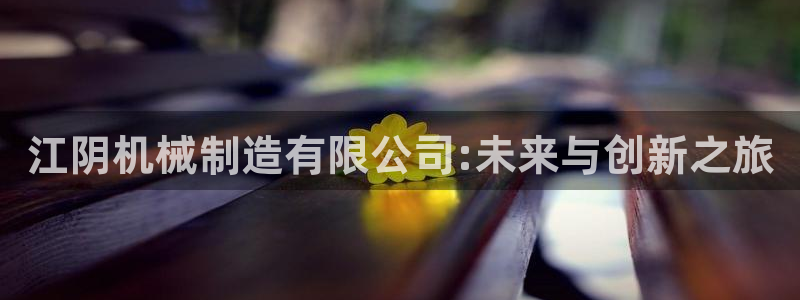 华视娱乐摩根王琛