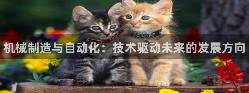 白宫摩根娱乐地址