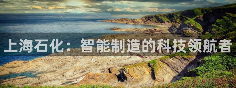 摩根国际娱乐宝书籍