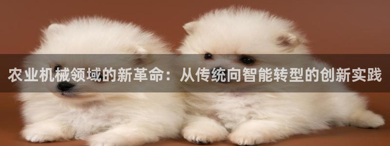 义乌摩根娱乐会所怎么样