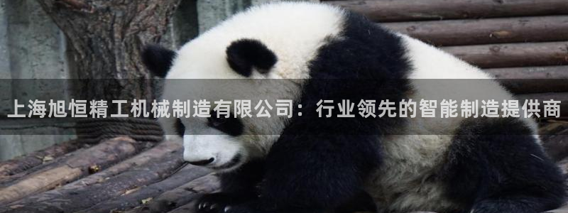 福建泉州白宫摩根会娱乐