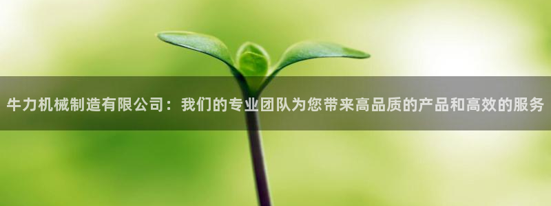摩根娱乐 F招D商98732