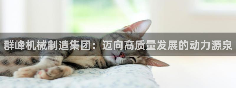 泉州摩根会娱乐