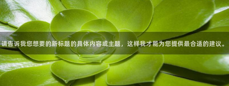 摩根娱乐宝官网下载