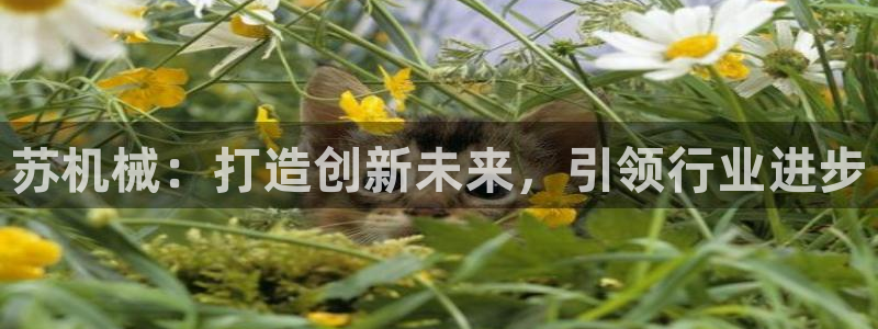 猫眼娱乐摩根士丹利