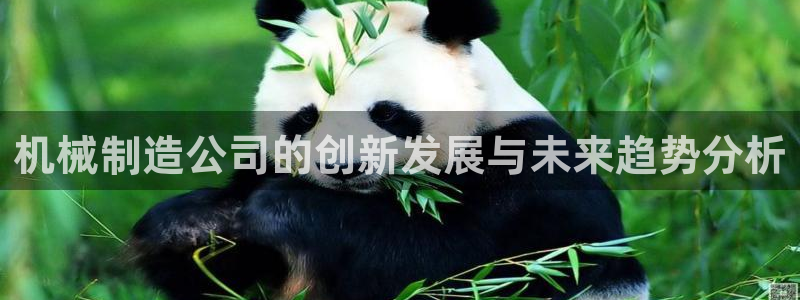 微信里面摩根娱乐宝