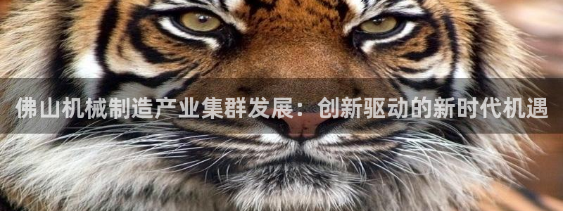 摩根娱乐宝的代理方式