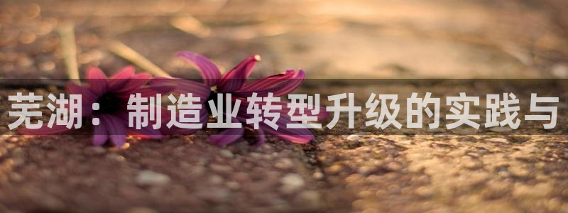 摩根娱乐会所