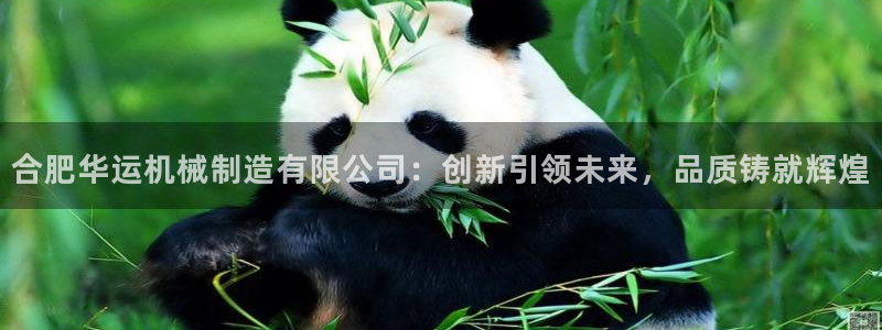 泉州摩根会娱乐场所
