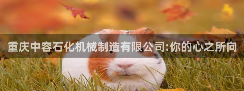华视娱乐 摩根 王琛